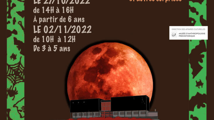 Attività - "Halloween al MAP"