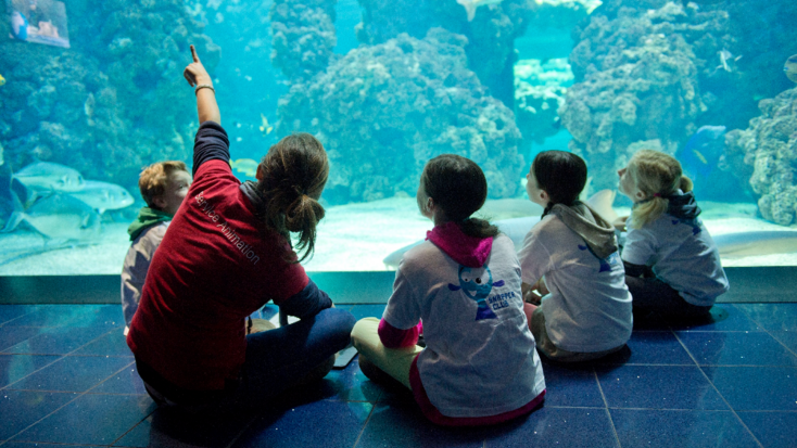 CLUB OCEANO - Stage de découverte sur l'Océan
