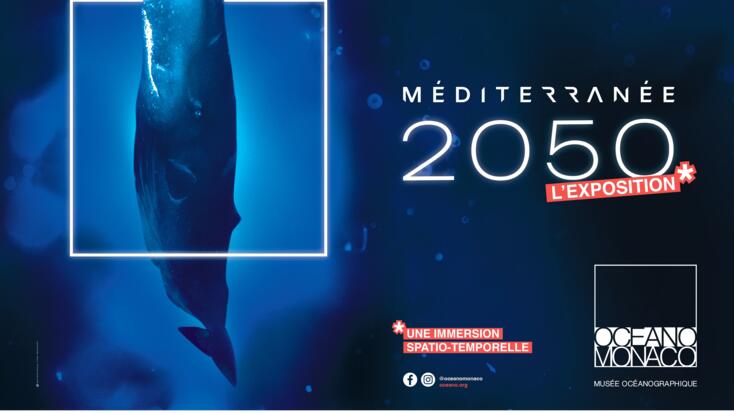 Exhibition - "Mediterranean 2050"