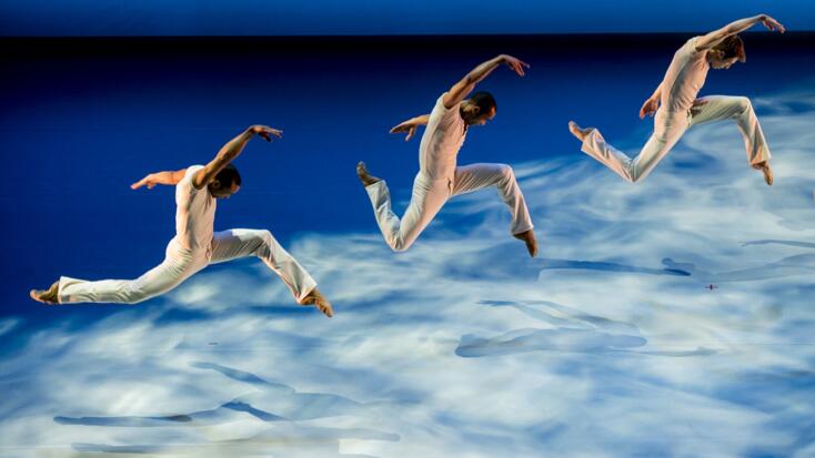 Les Ballets de Monte-Carlo - "EYAL - MAILLOT"