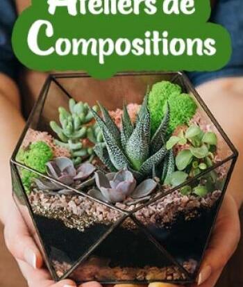 Activity - "Plant Arranging Workshop"