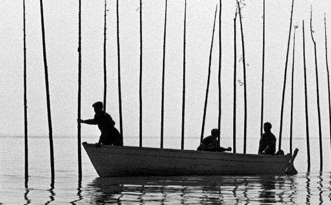 Pour La Suite Du Monde