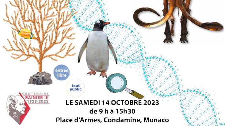 Animation - "Fête de la Science"