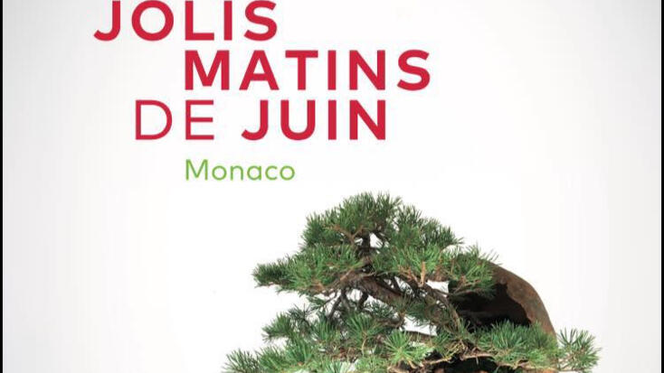 Les Jolis Matins de Juin