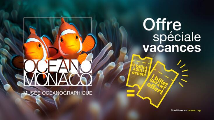 Activities - "Experience the Ocean"
