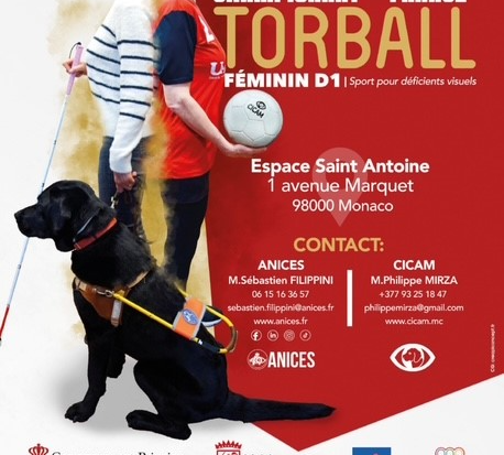 Championnat de France TORBALL Féminin D1