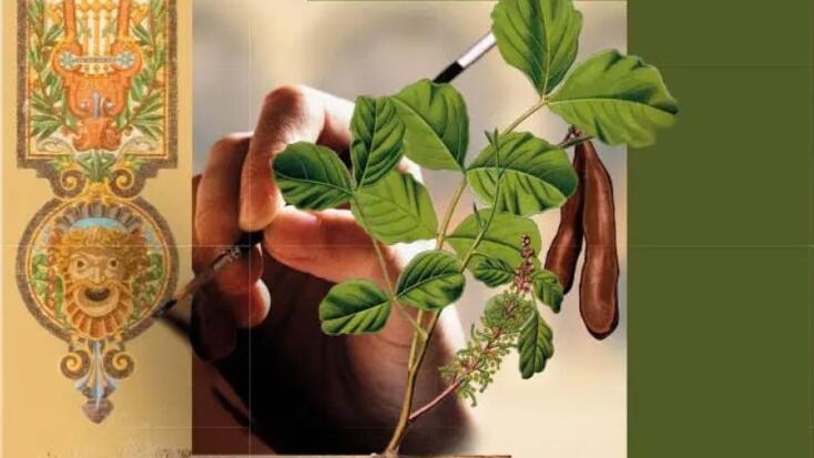 Culture - "28th European Heritage Days"