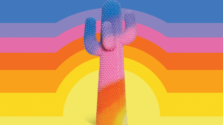 « CACTUS » Exhibition