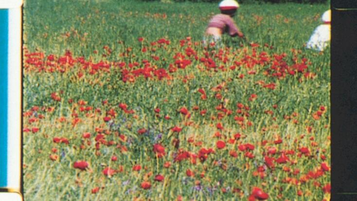 Screening - "Rose Lowder and Her Agricultural Camera"