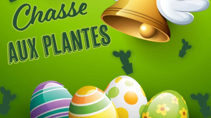 Animation - "Chasse aux plantes"