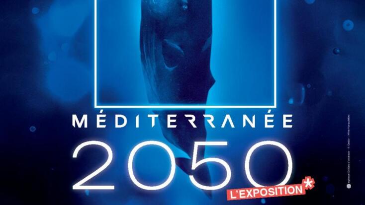 Exhibition - "Mediterranean 2050"