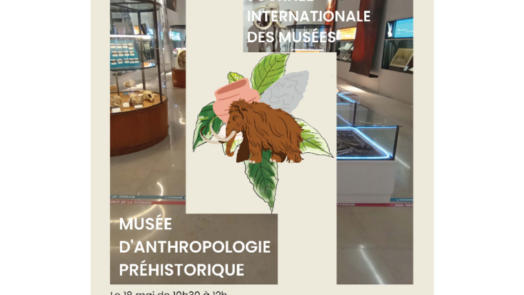 Journée internationale des Musées - ANIMATIONS au Musée d’Anthropologie préhistorique de Monaco