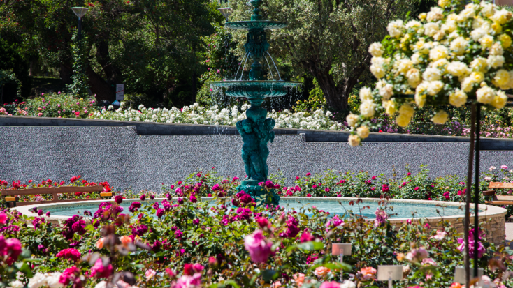 Rendez-vous aux Jardins 2024 - Découverte des 5 sens à la Roseraie Princesse Grace