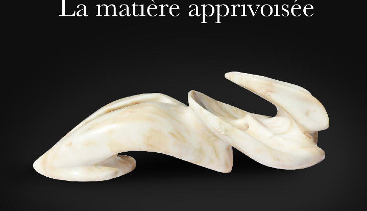 Exhibition - "La matière apprivoisée"