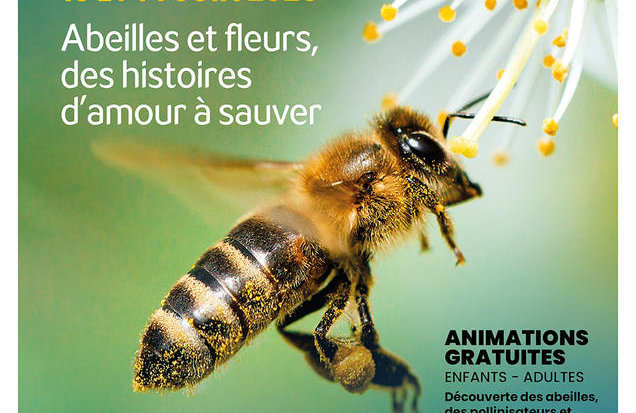 APIdays 2025 : Journées nationales de l’abeille