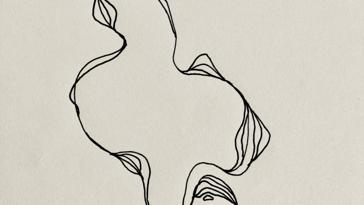 Suivre le perroquet blanc. Récits et autres tours