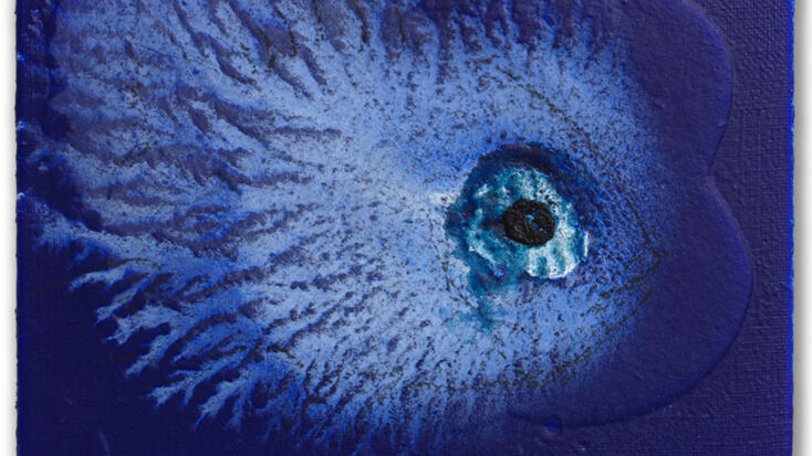 Exposition - "Miquel Barceló, océanographe"