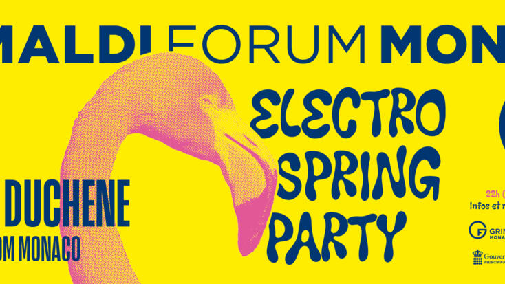Electro Spring Party