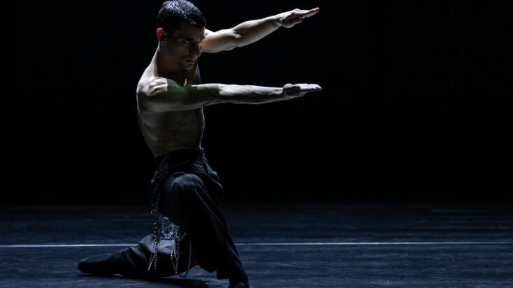 Monaco Dance Forum - "The Seven Sins"