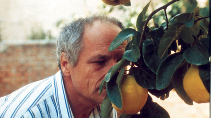 Tutta l'Arte del Cinema - "Le Songe de la Lumière (ndt, titolo italiano "Sogno di luce")