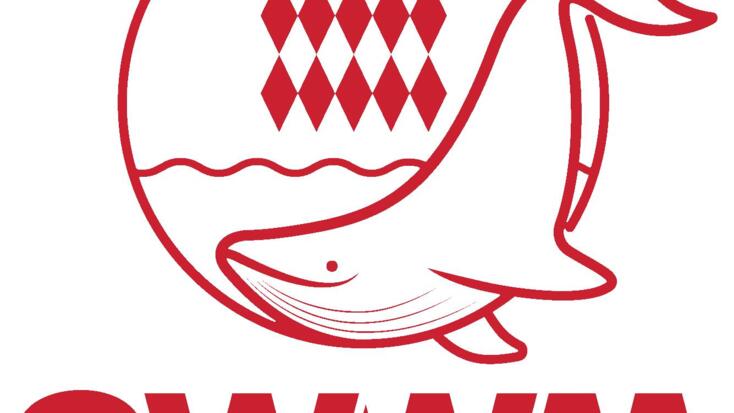 Excursions - Whale Watching Monaco