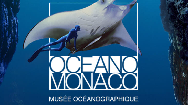 "Immersion", the interactive exhibition