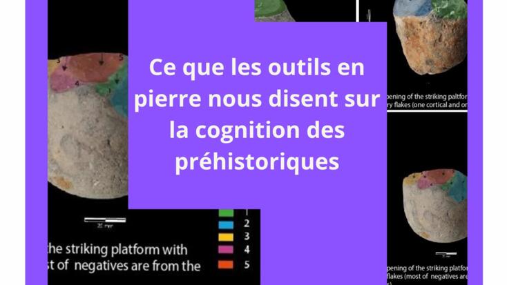 Lecture - "What stone tools tell us about prehistoric humans’ cognition”
