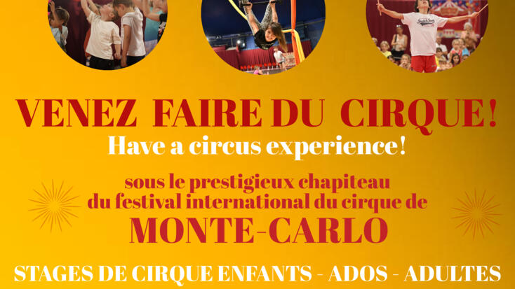 Activité - "Stages de cirque"