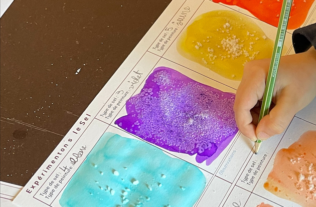 Stages jeune public "Tableaux salés" - vacances de février